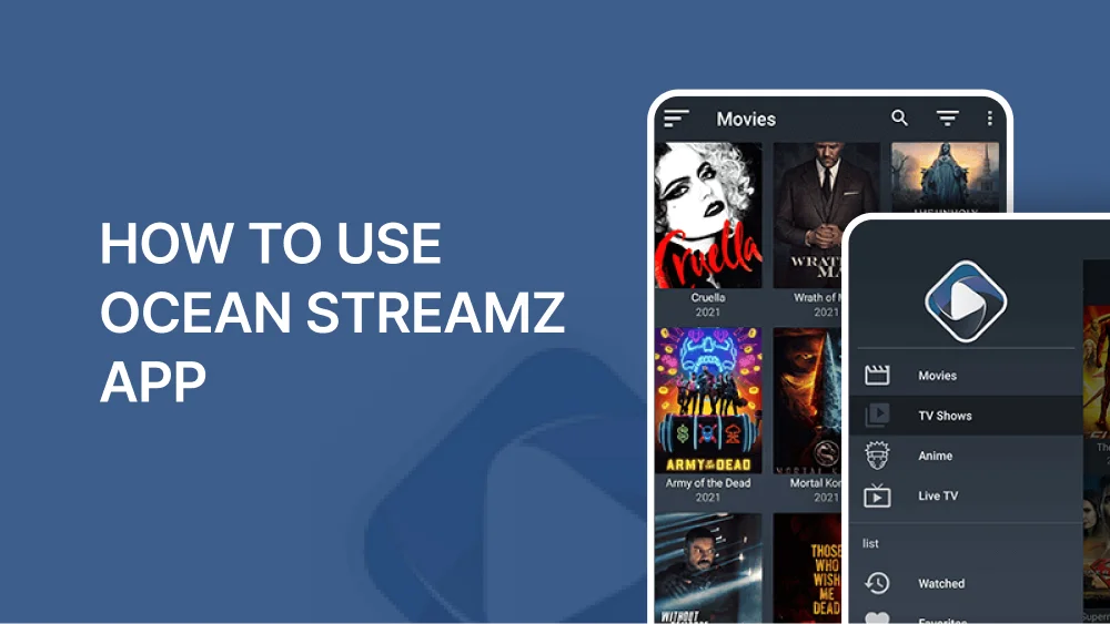 How to Use Ocean Streamz App